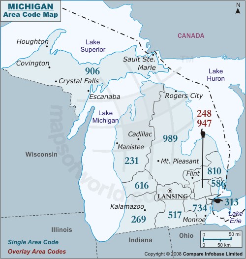 michigan zone code carte