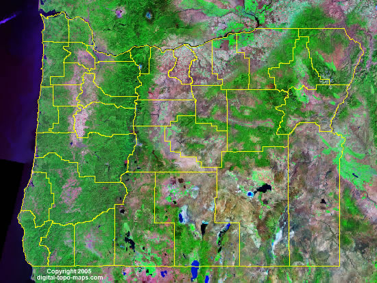 oregon satellite image