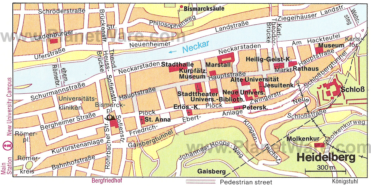 heidelberg plan