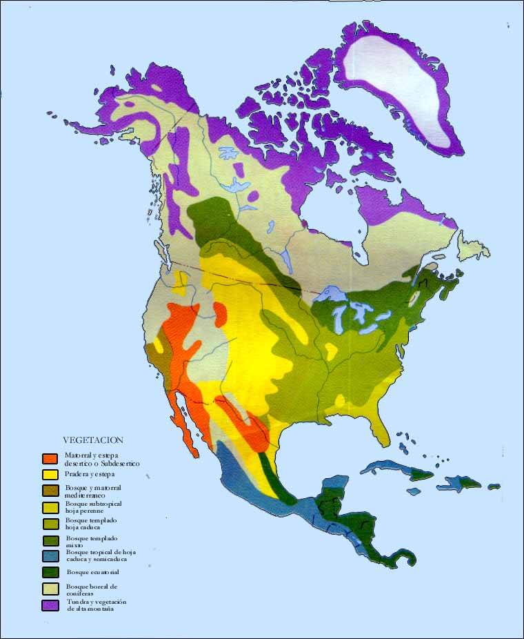 Carte vegetation Amerique du Nord