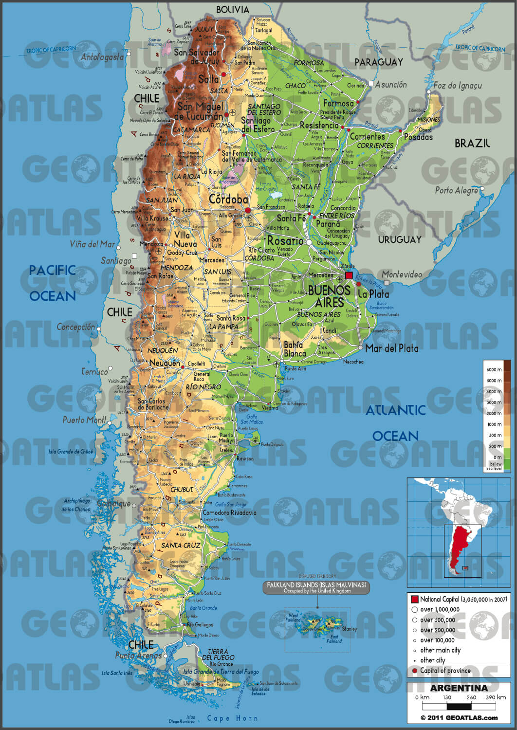 argentine carte