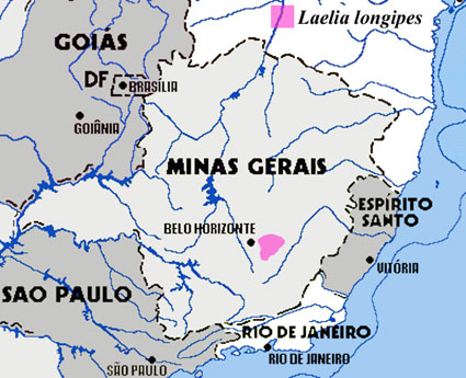 minas gerais belo horizonte plan