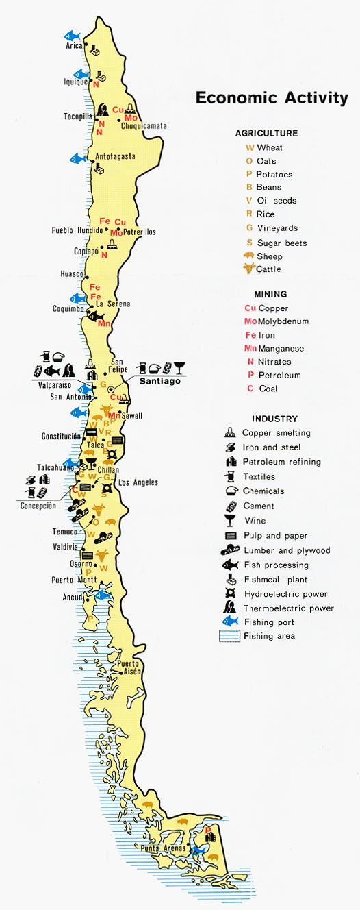 chili economique carte