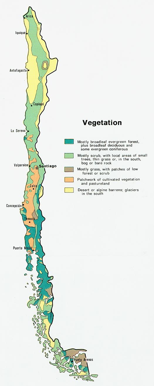 chili vegetation carte