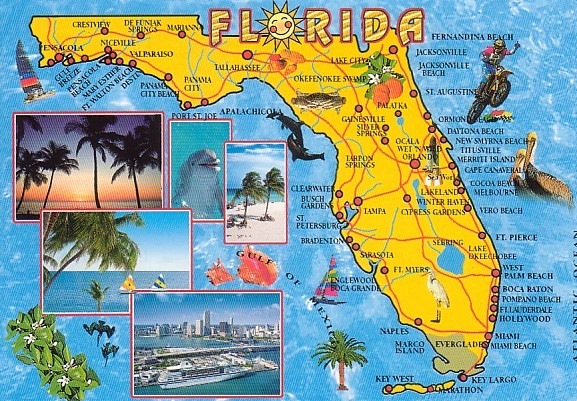 florida fun carte