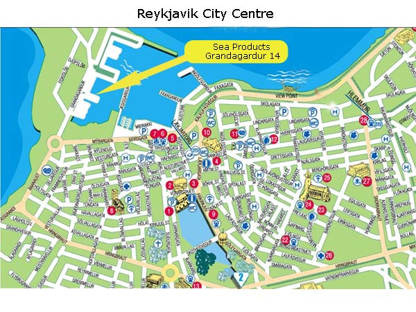 reykjavik ville plan