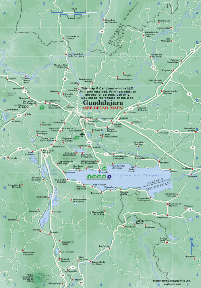 guadalajara zone plan