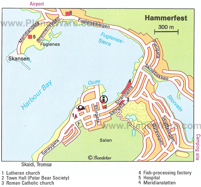 hammerfest plan