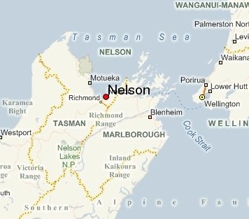 Nelson plan