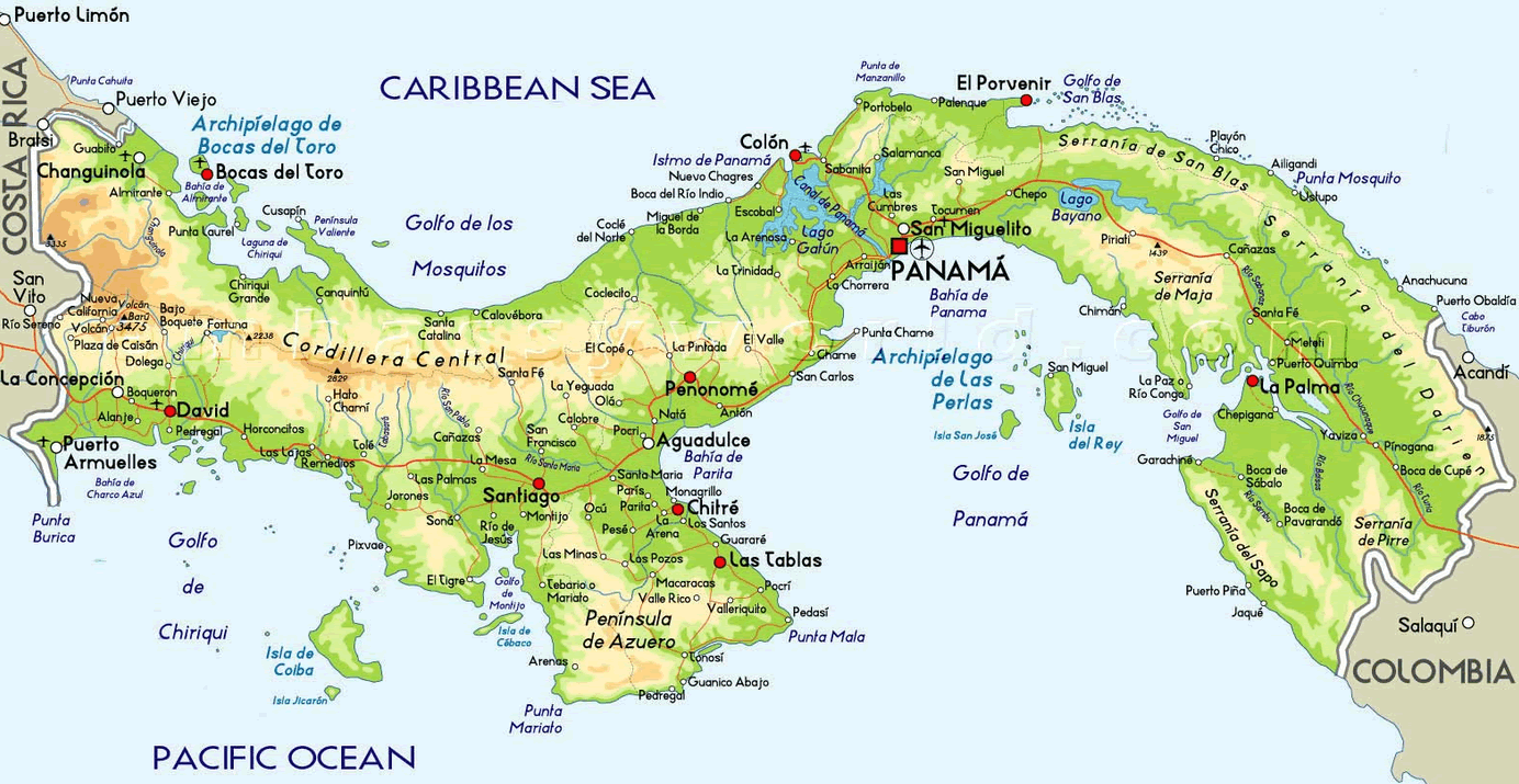 panama carte