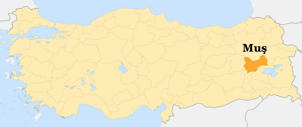 mus location plan en turquie