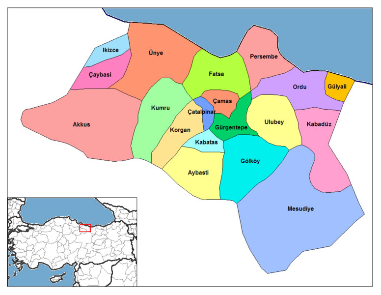 plan de ordu