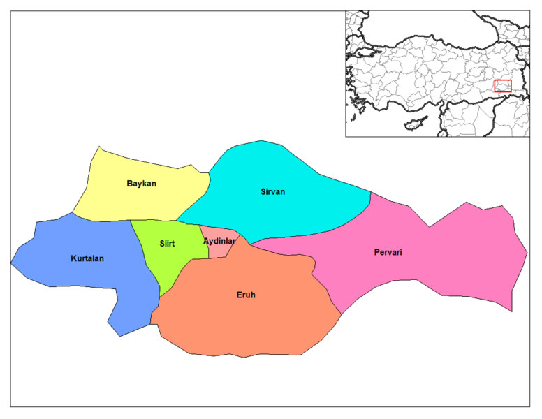 plan de siirt