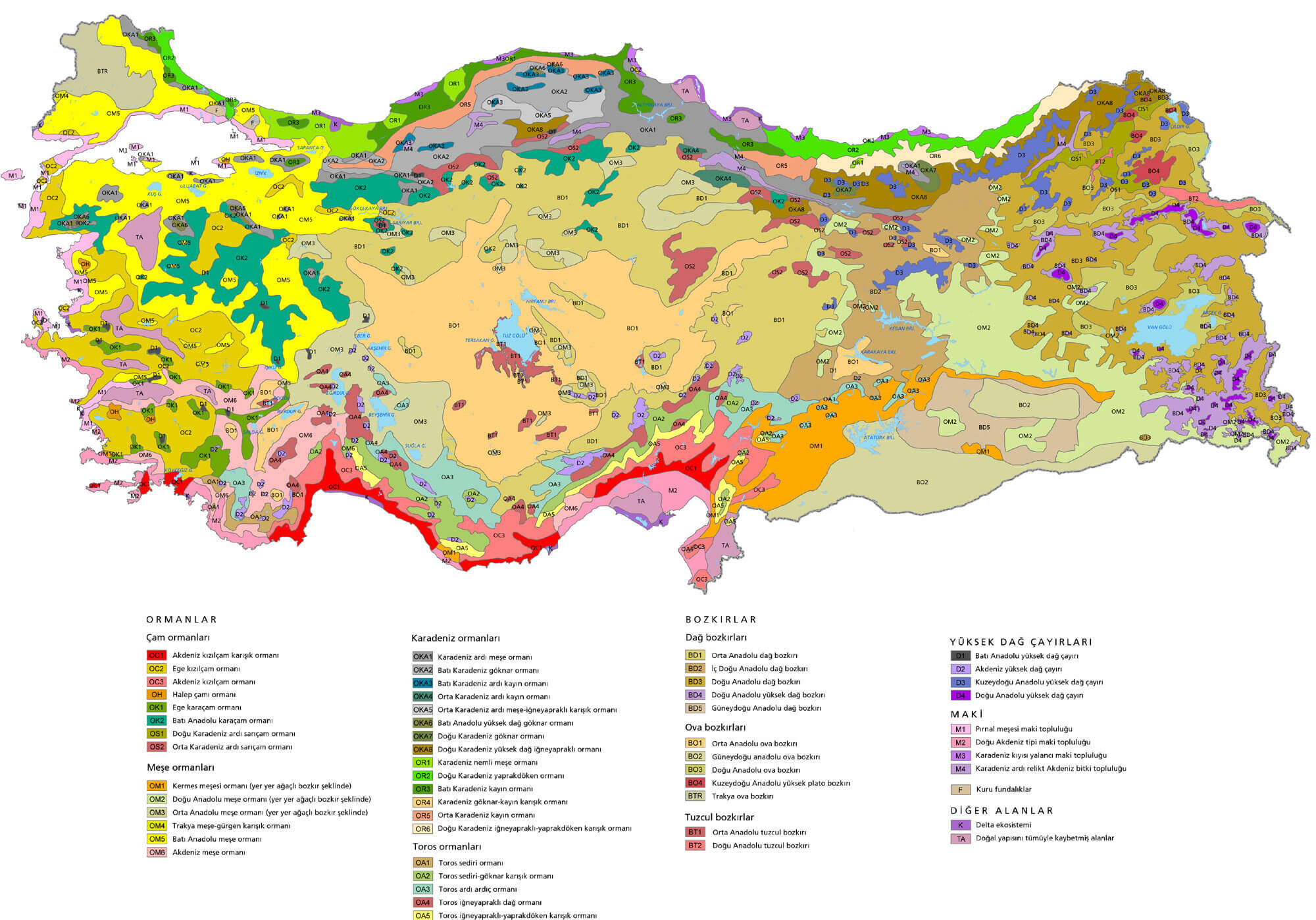 turquie plante carte