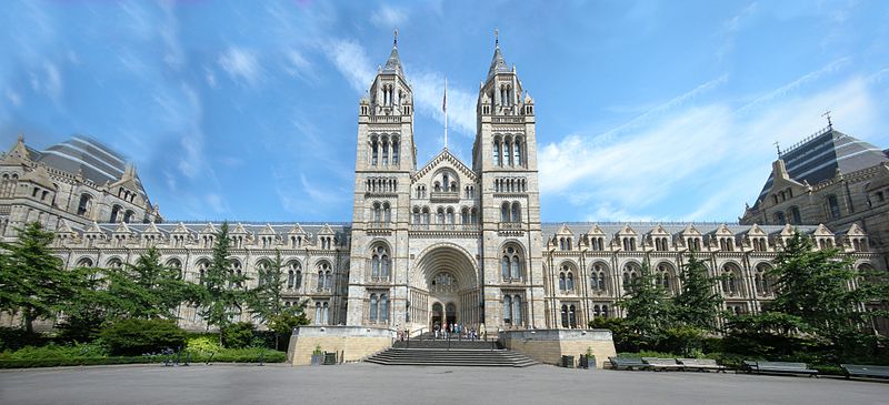 London naturel History musee angleterre