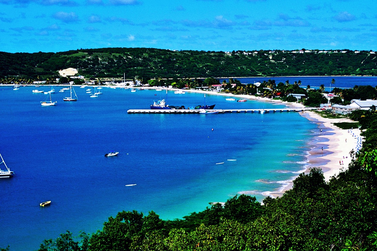 Anguilla littoral