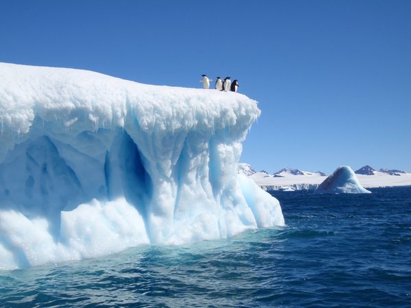 iceberg antarctique