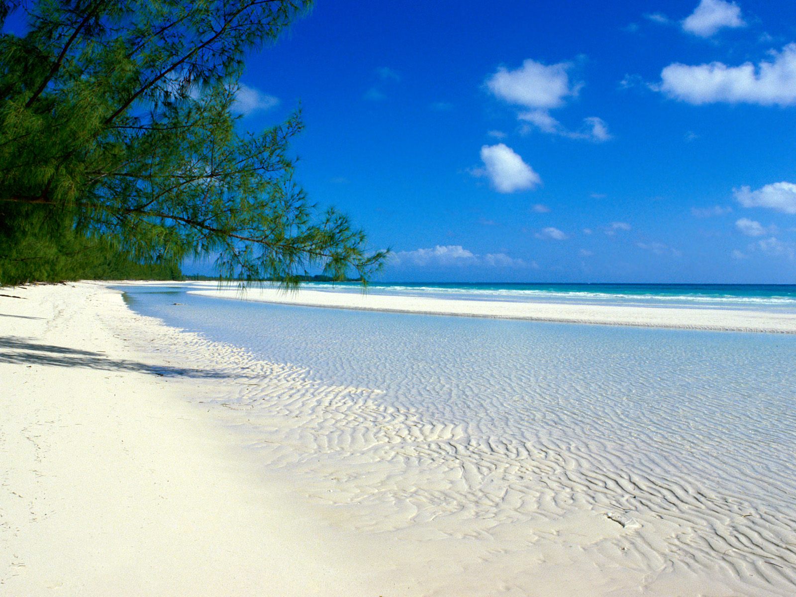 bahamas blanc plage