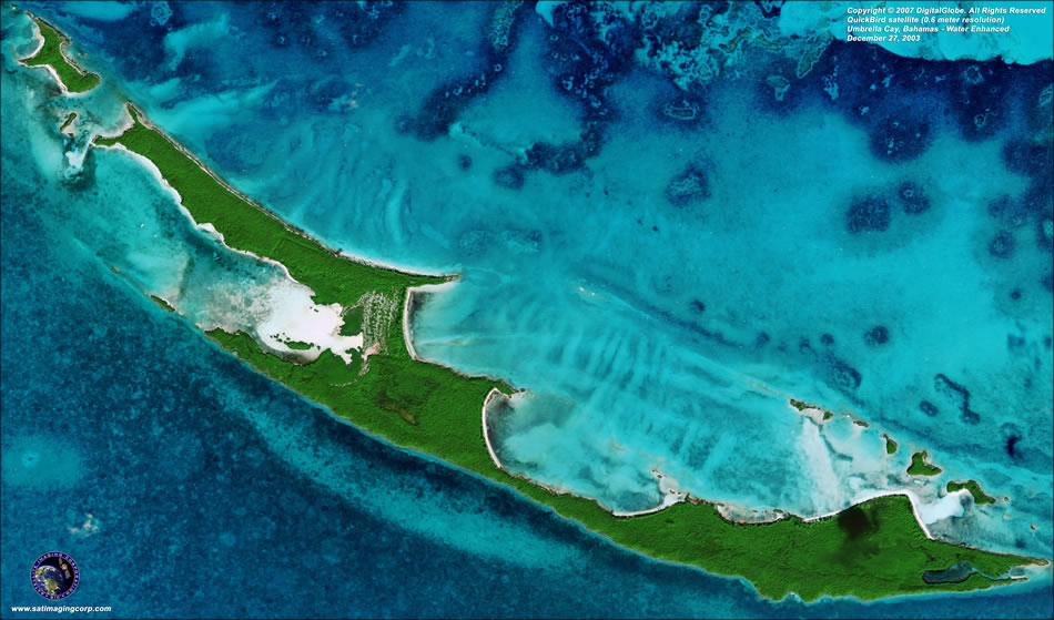 oiseau rapide parapluie cay bahamas