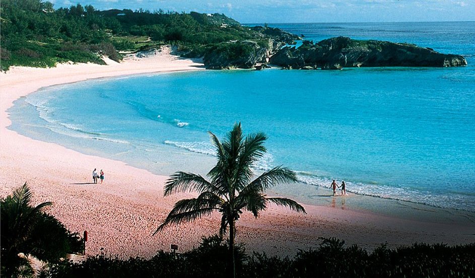 bermudes rose plage