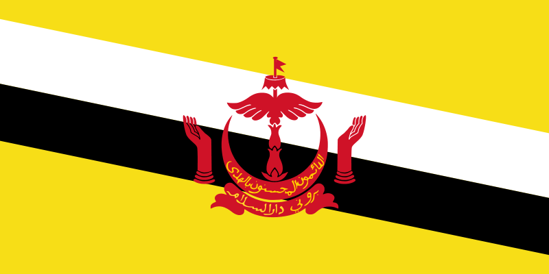 Brunei Drapeau