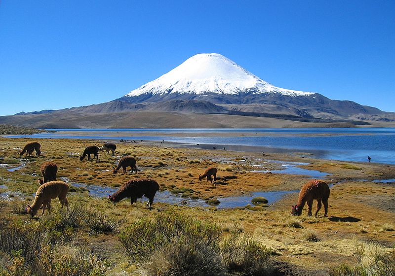 Parinacota volcan