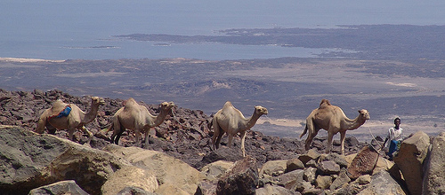 Djibouti Lac Assal