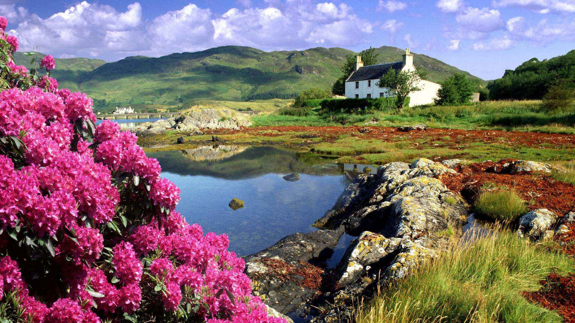 cottage ecosse