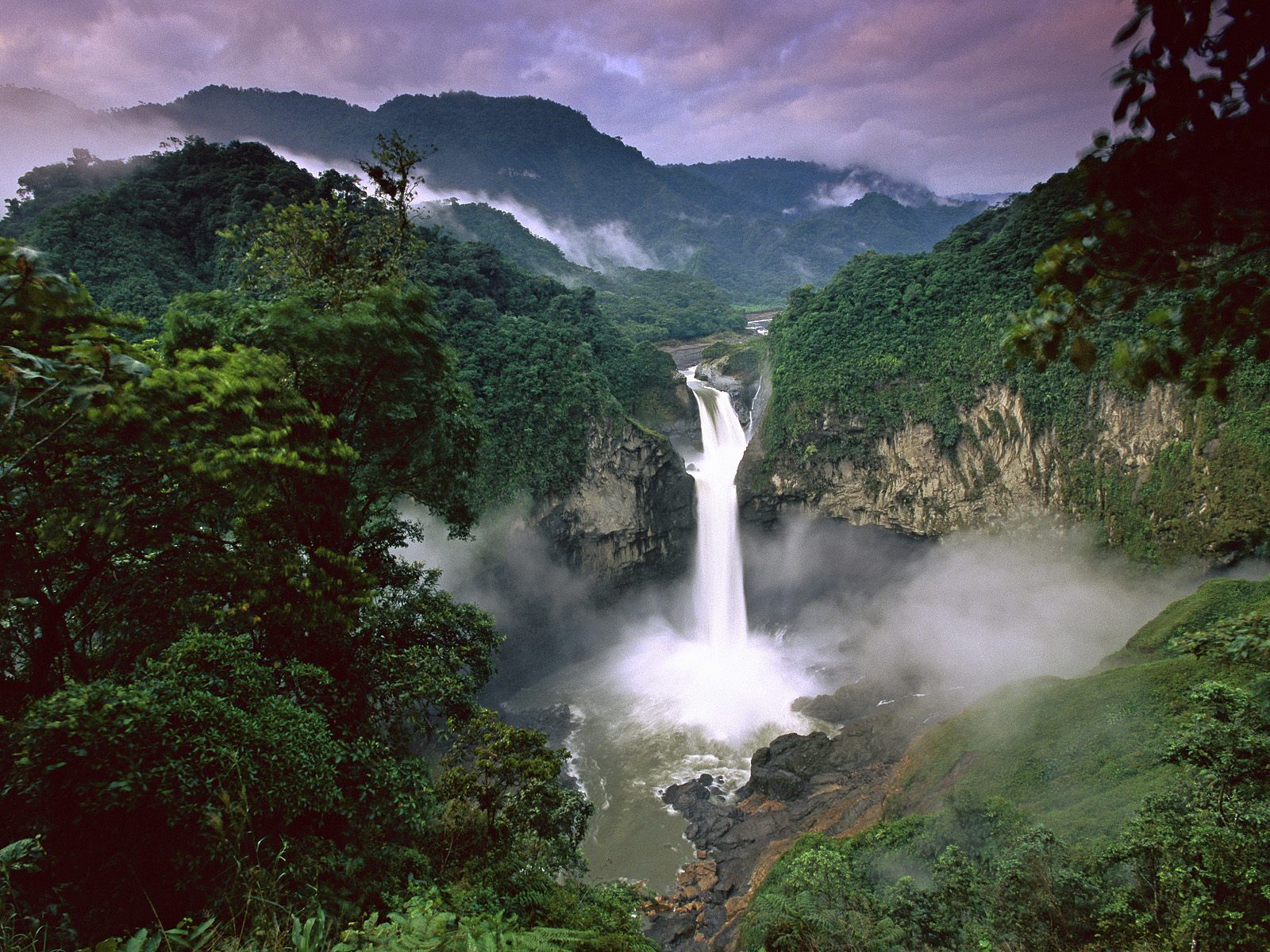 yasuni parc national equateur