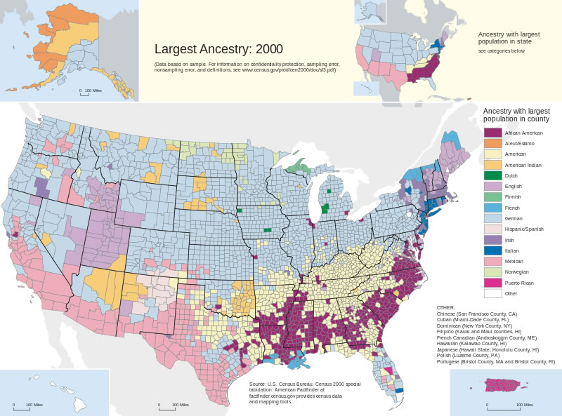 Census US Ancestries par comte