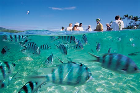 fidji poisson personnes