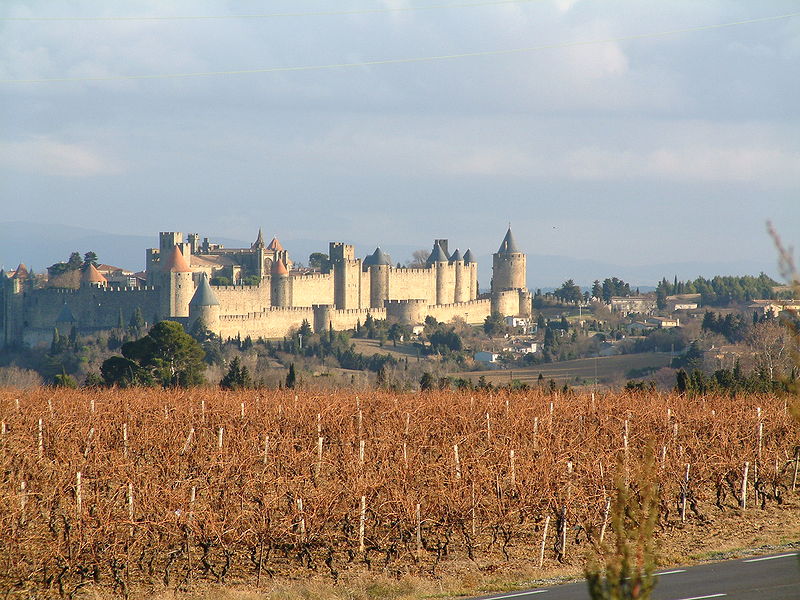 Carcassonne vine france