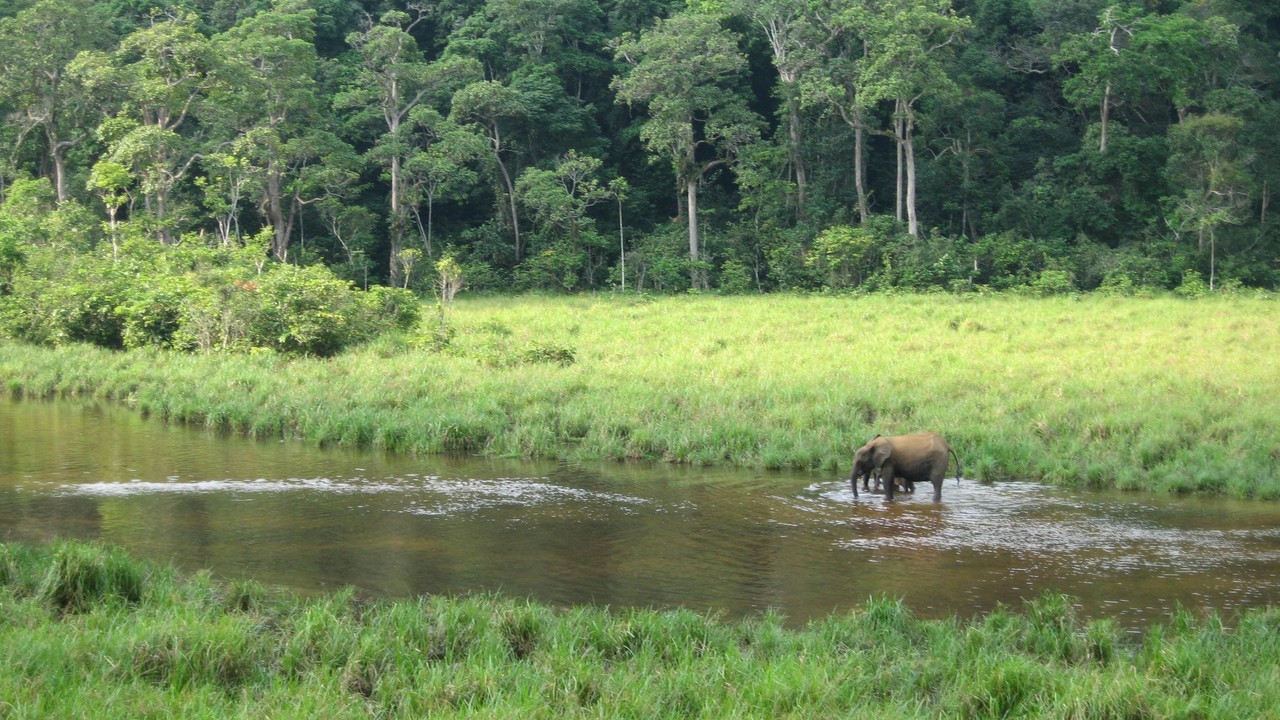 gabon naturel parc