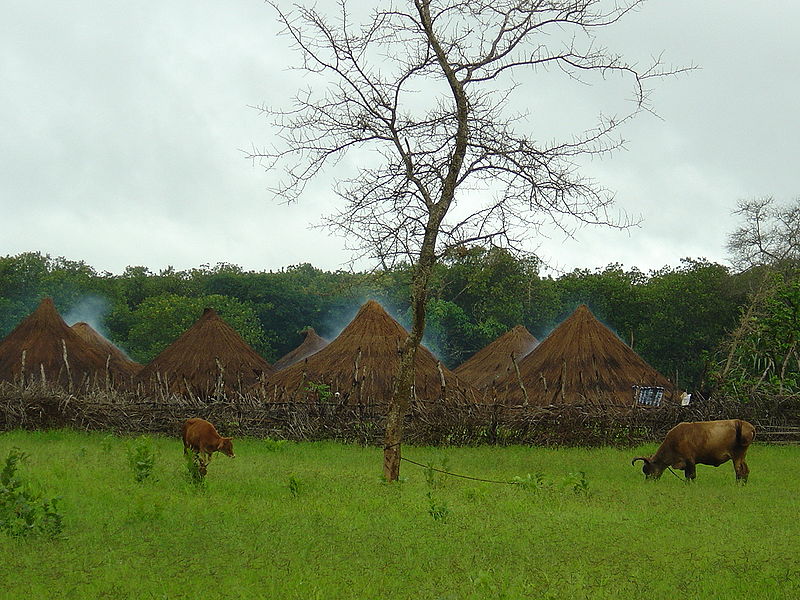 guinee Bissau village