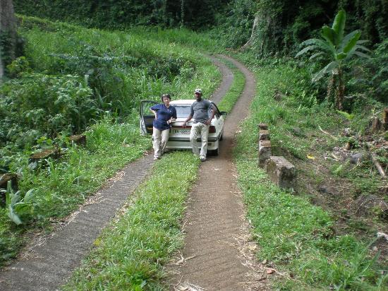 guinee safari