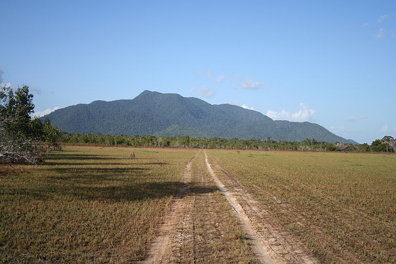 Rupununi Savannah Guyana