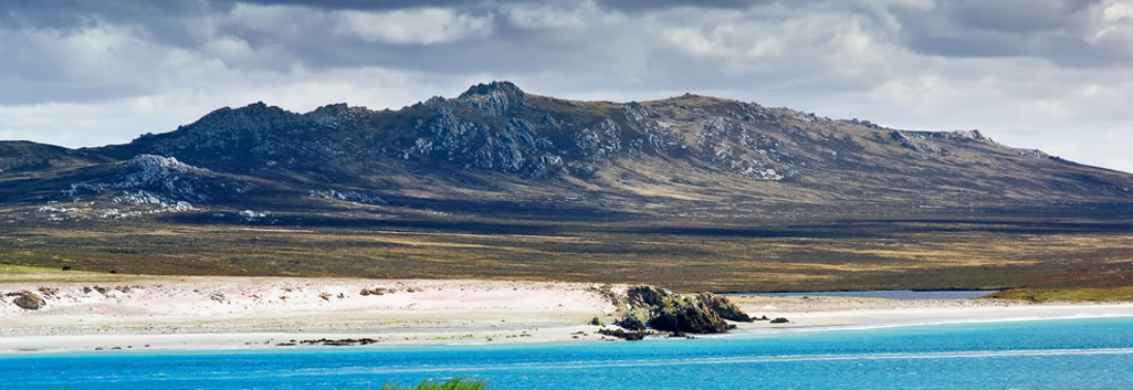 falklands