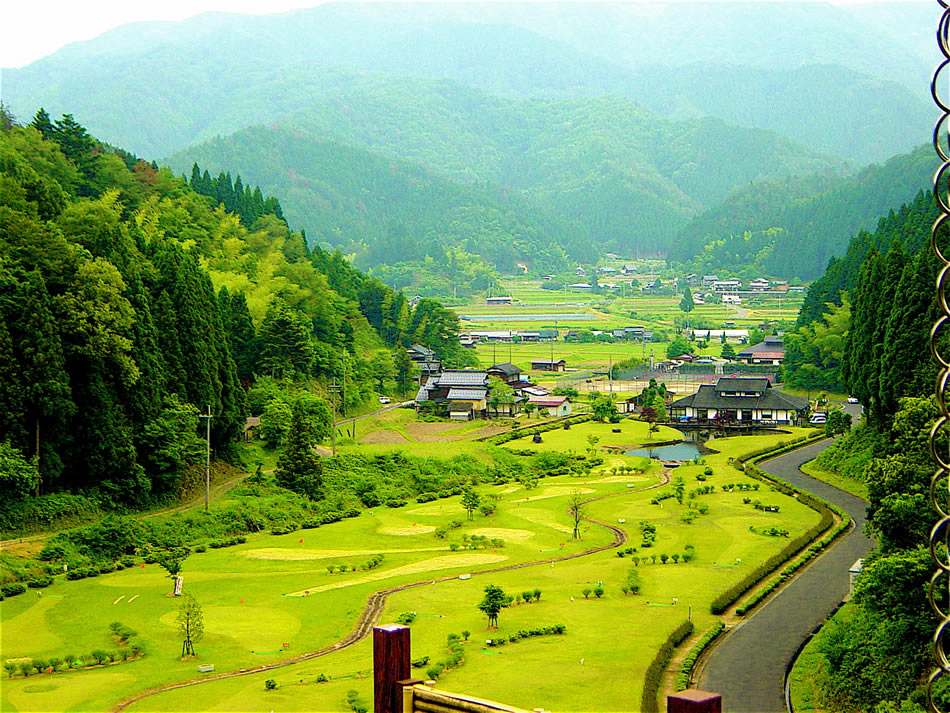 green vallee japon