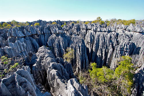 Bemaraha parc national Madagascar