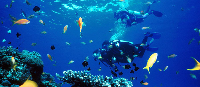 maldives plongee