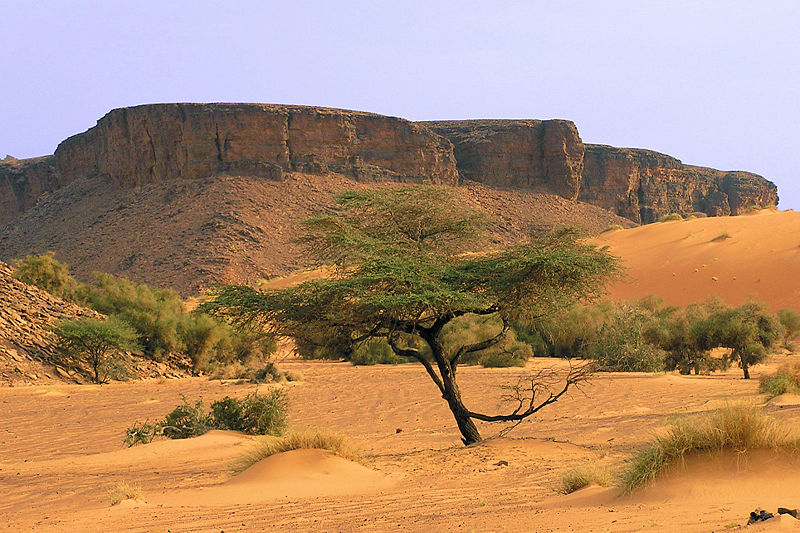 Mauritanie Adrar