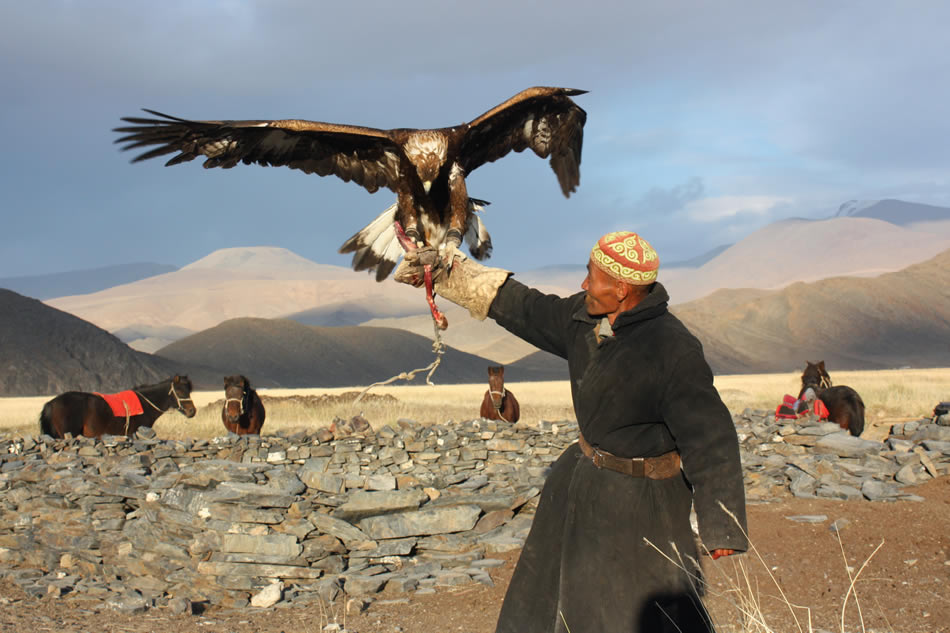 Mongolie aigle