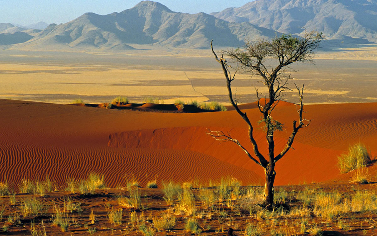 Excursie Namibie