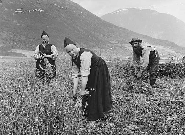 Havreskjering Norvege 1880.