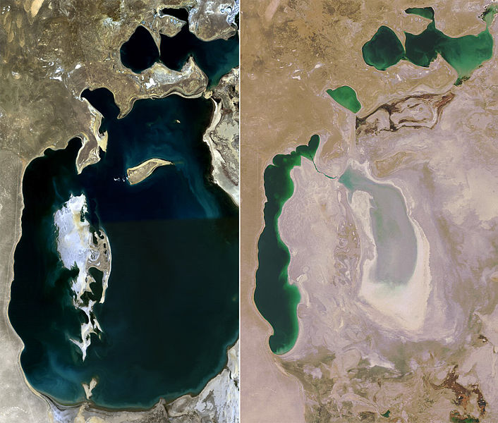 Aral Lac 1989 2008