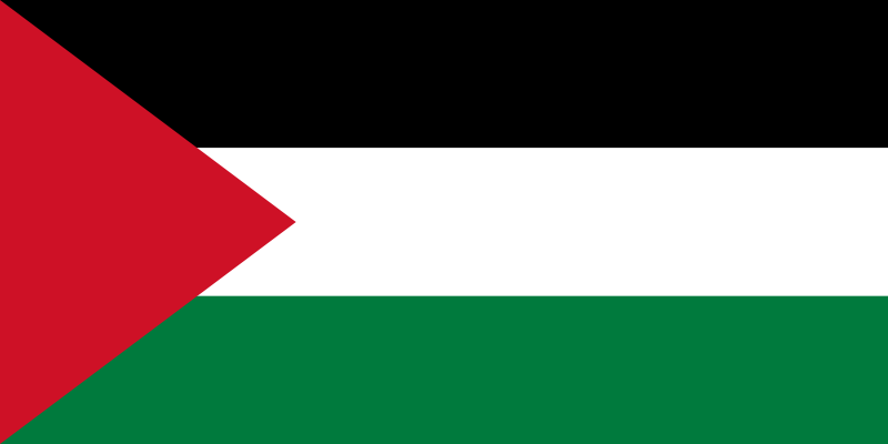 Palestine drapeau
