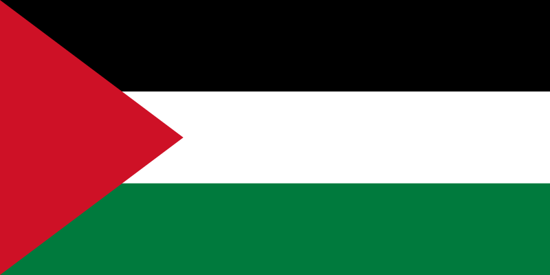 Palestine Drapeau