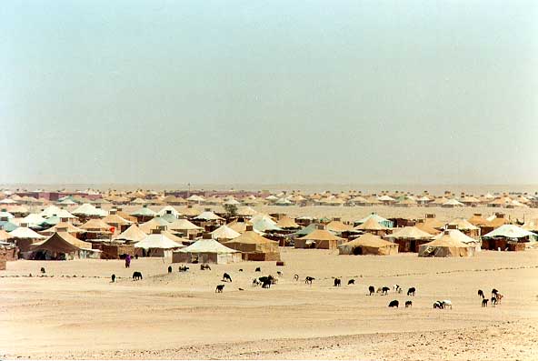 Plaatje Arno Sahara Occidental