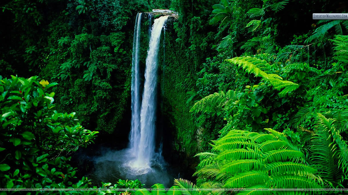 Samoa cascade