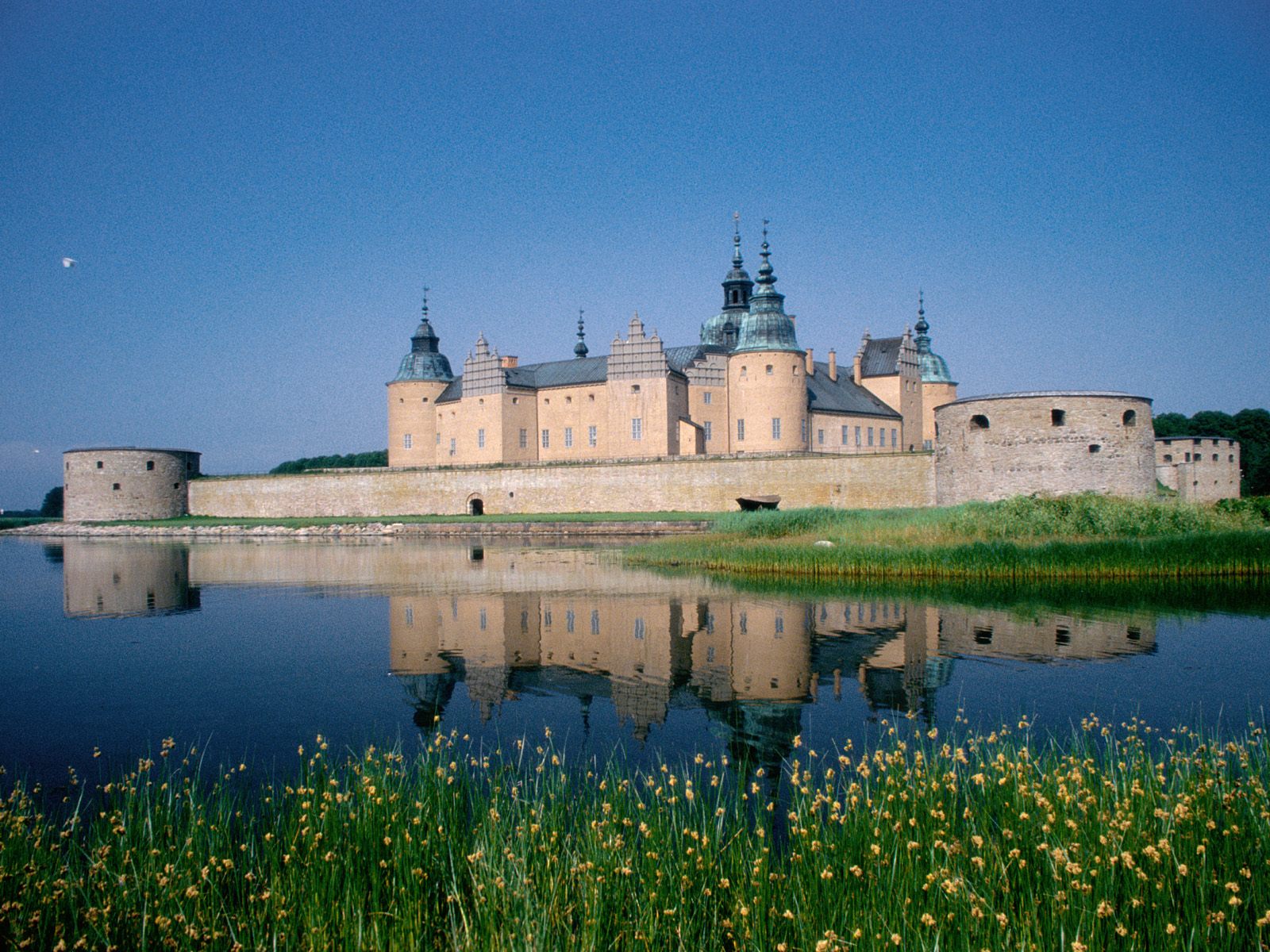 Kalmar chateau Suede